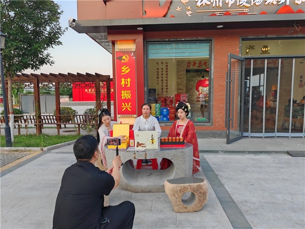 海南商品批发：热带风情中的商贸盛宴