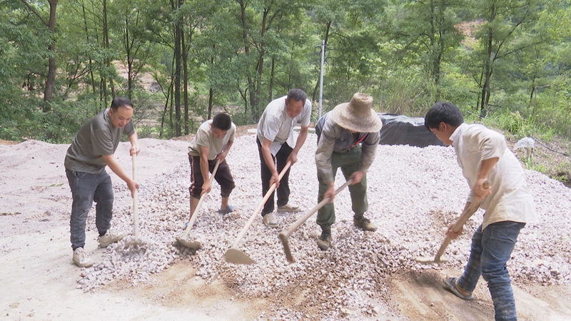 镇宁沙子乡：不忘“兵之初” 建功“兵支书”