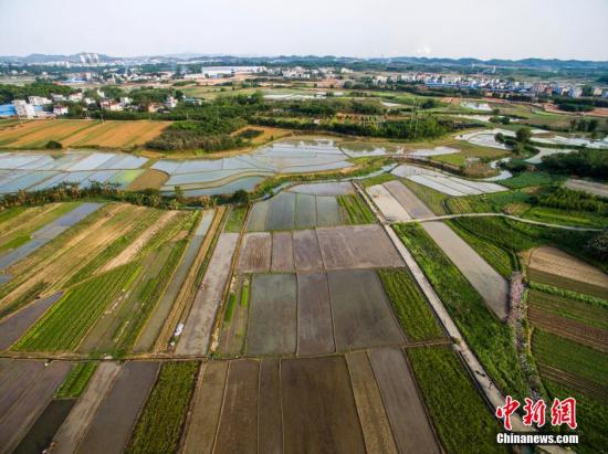 十三五 期间中国耕地面积预计将减少7000余万