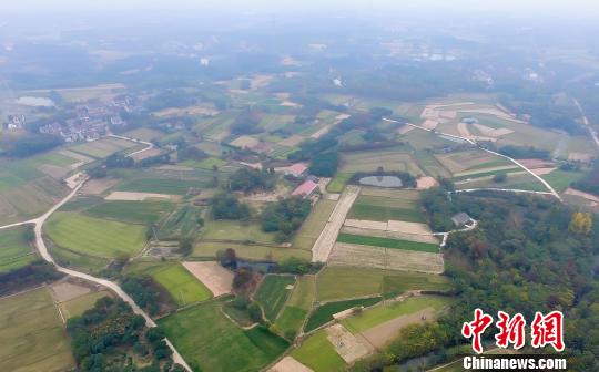 江苏西冯村：草坪种植让昔日“北大荒”变成“绿银行”