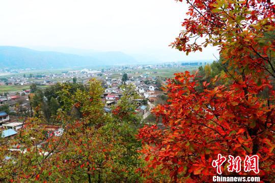 定西岷县境内的乡村山川尽染秋色。　马万安 摄