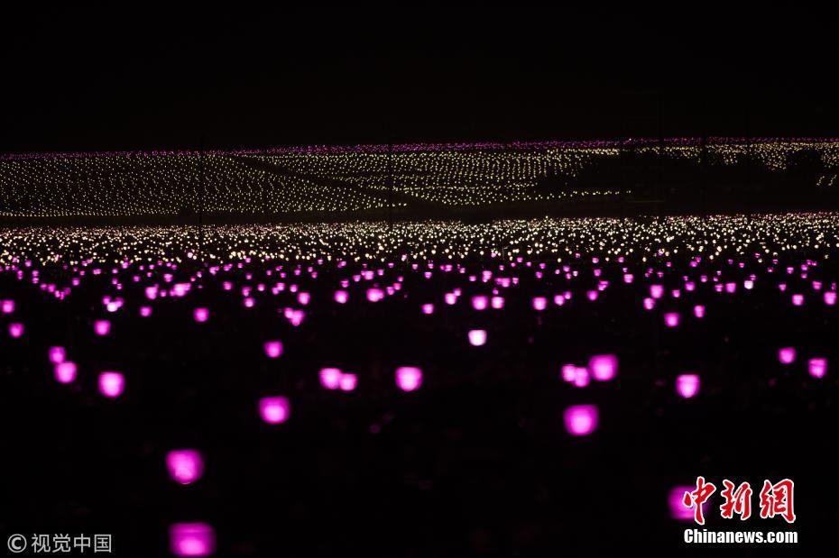 入夜后种植基地亮起数万盏灯 场面壮观_大学生