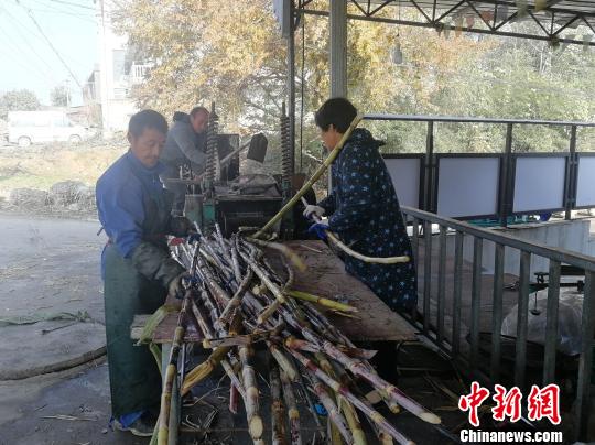 12月7日，江西上饶县应家红糖加工作坊的工人将当天收割的甘蔗切碎碾压。　苏路程 摄