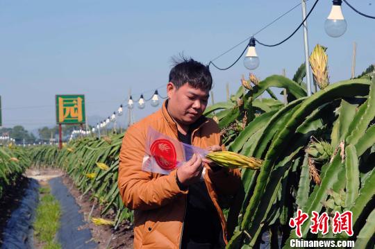 年薪二十余万的新式“农民”