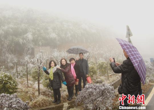 图为重庆高海拔地区下雪，吸引市民前往赏雪、玩雪。　李攀　摄