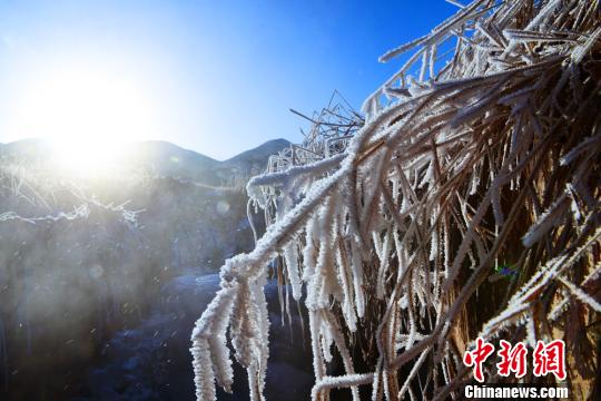 甘肃肃南冰面雪原开“霜花”