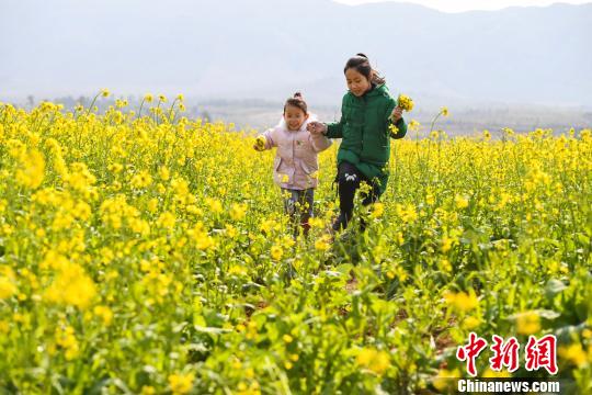 2月3日，两名小朋友在江西省新余市渝水区南安乡高峰村油菜花海里奔跑。　周亮　摄