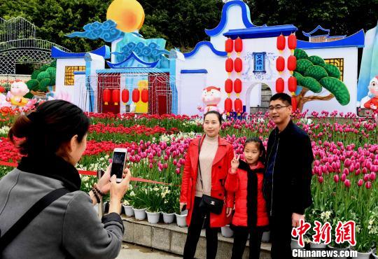 福州温泉公园郁金香花展吸引市民流连忘返。　刘可耕 摄