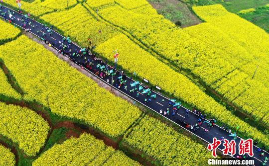 比赛沿途贯穿乡村万亩油菜花海，展现了瑞昌新农村风貌、渔家乡村魅力，凸显了乡村旅游发展新亮点和新特色。　甘来 摄