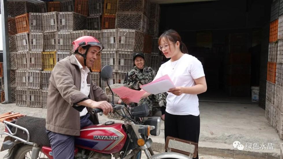 水晶乡:"95后"青年"村官"为乡村振兴添动能