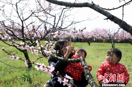 一位妈妈带着双胞胎女儿在赏花。　姜涛 摄